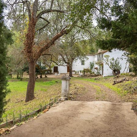 Molino De Gris Cazorla Villa Chilluevar ภายนอก รูปภาพ