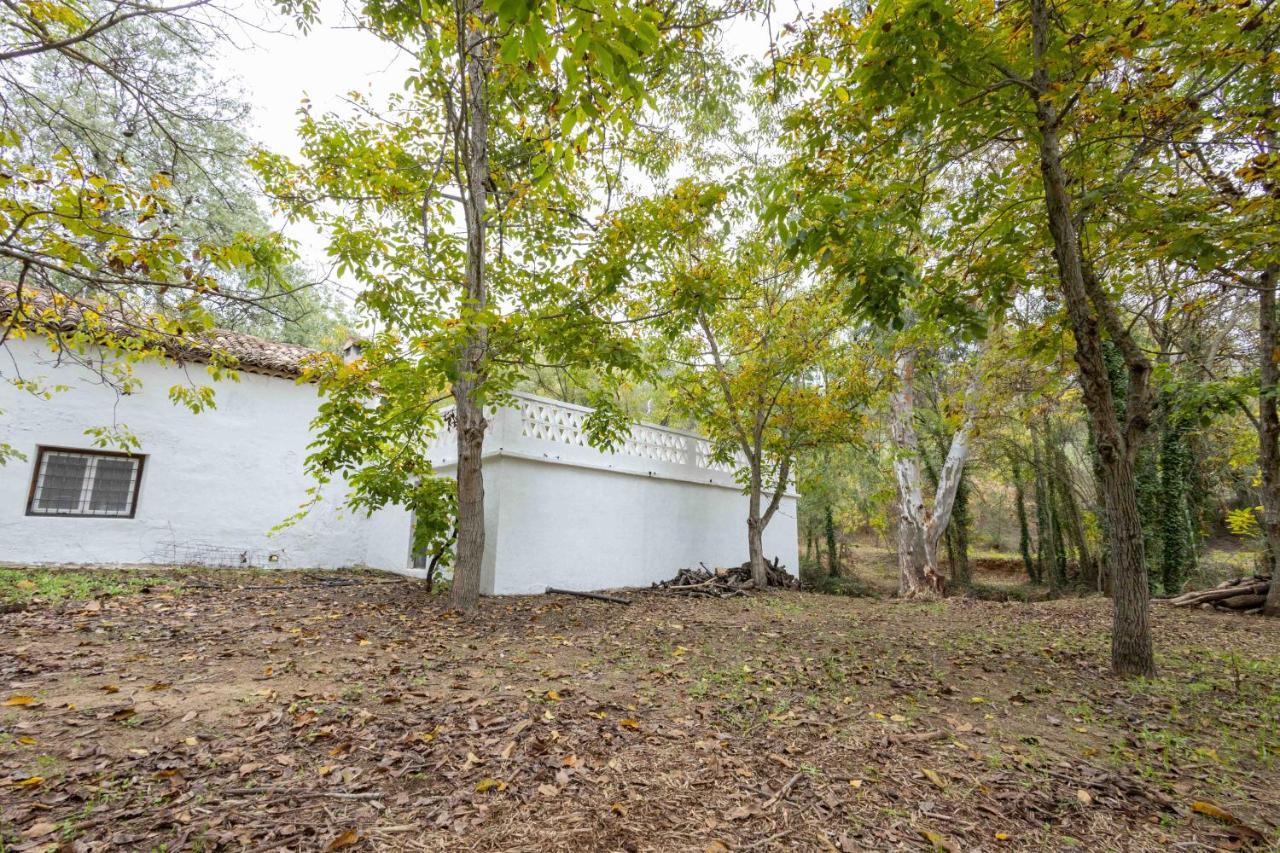 Molino De Gris Cazorla Villa Chilluevar ภายนอก รูปภาพ