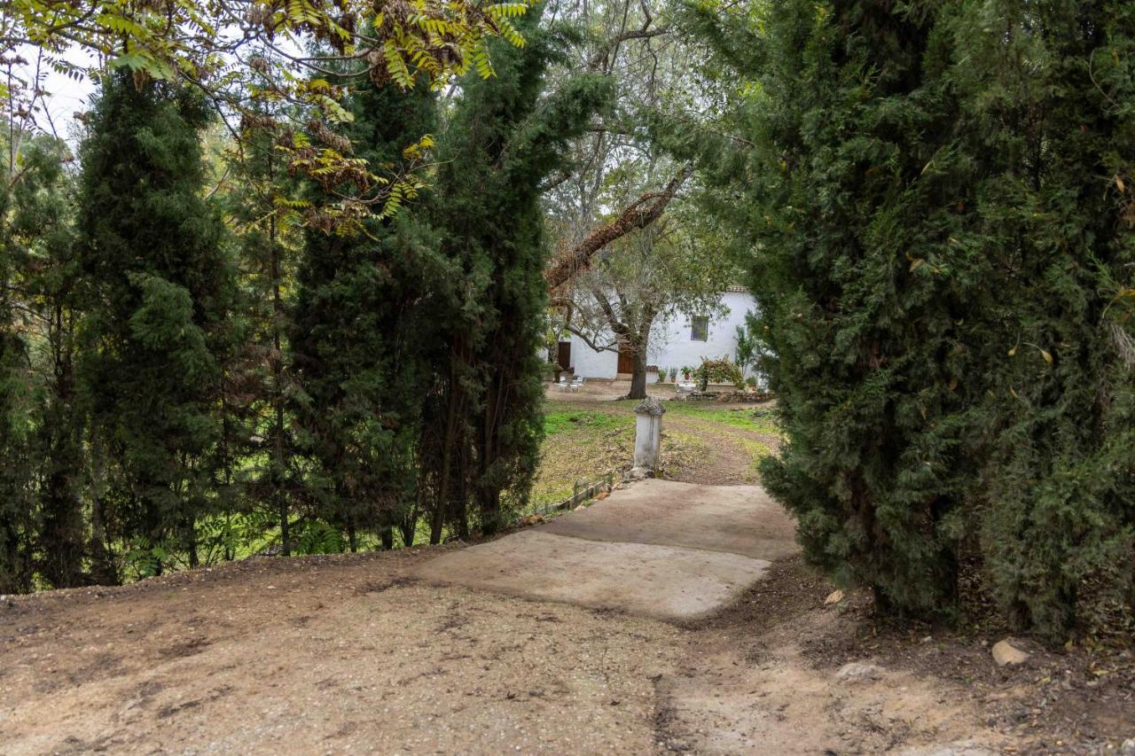 Molino De Gris Cazorla Villa Chilluevar ภายนอก รูปภาพ